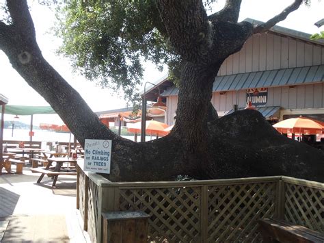 Hooters of Port Richey — Florida Beach Bar