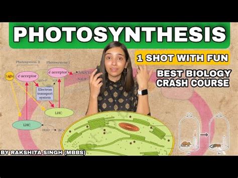 Photosynthesis In Plants in One Shot Video Lecture - Biology Class 11 ...