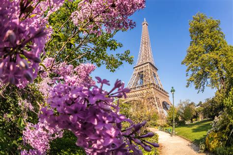 Paris In Spring Springtime In Paris: Where To Explore, Linger, And