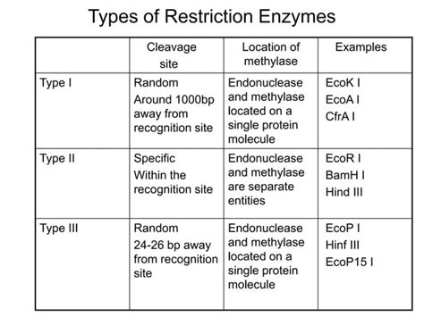 Image result for Restriction Enzymes Function