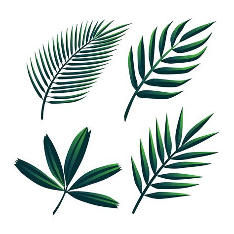 Tropical Palm Leaf Clip Art