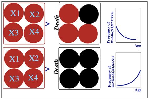 On the Mortality of Companies