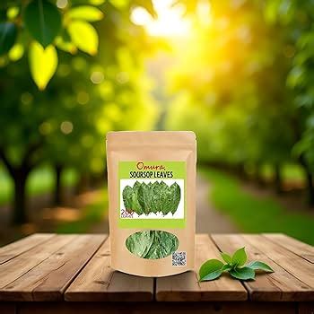 Graviola Leaves Tea Soursop Herbal Supplement 200+ Leaves Soursop ...