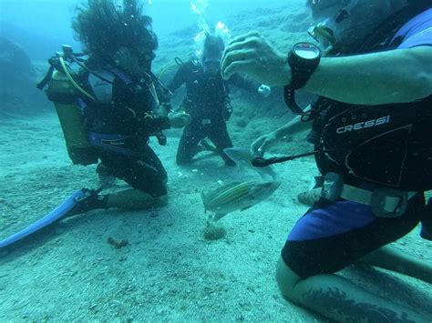 CYPRUS UNDERWATER EXPLORERS (2026) All You Need to Know BEFORE You Go ...