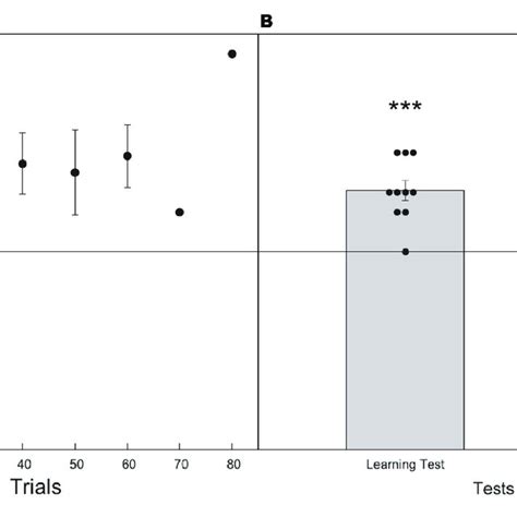 Image result for Express Course Variables with Bee Level 9