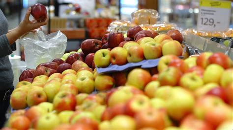 在果园摘苹果的女人高清图片下载-正版图片501455605-摄图网