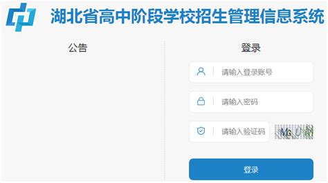 黄梅一中高考2021成绩查询,2020年黄冈高考成绩出炉！这些高分考生太棒了！-CSDN博客