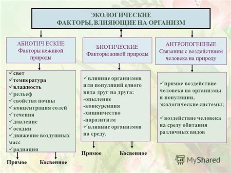 Биотические факторы среды - примеры, влияние и краткая характеристика