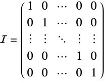 Identity Matrix 的图像结果