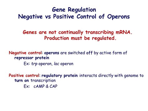 PPT - Chapter 18 Gene Expression PowerPoint Presentation, free download ...