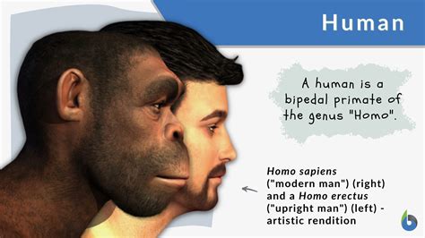Zone1 - Abortion viewed through the lens of life expectancy. | Page 7 ...