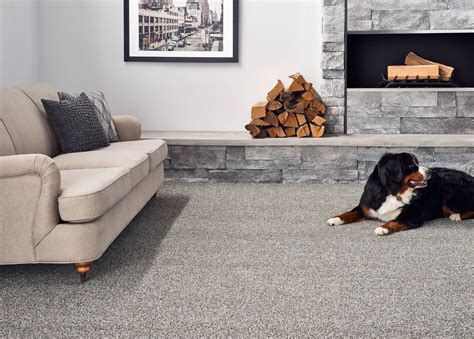 Top 10 Carpet Trends 2025: What’s In And What’s Out
