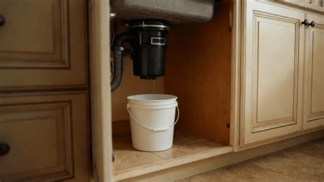 How to Fix a Garbage Disposal Leaking Problem? - Spinchill