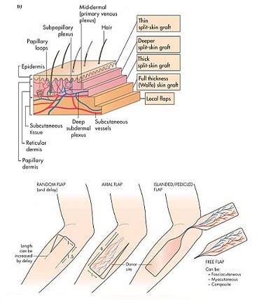 Laser Cosmetic Clinic • Face and Hair Care • Best Hair Transplant ...
