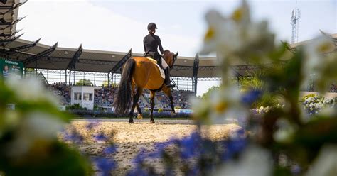 What Does Inside Leg to Outside Rein Mean?