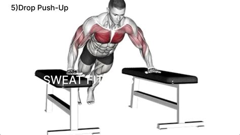 Image result for Push-Up Variants