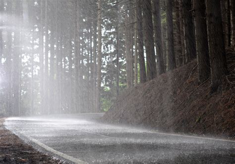 The Science of Smell & The Smell of Rain - Analytical Answers - what is the smell of the rain