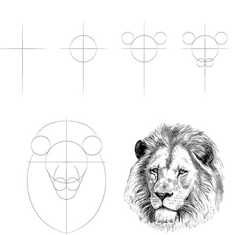 sketchMyPic | How to Draw a Lion