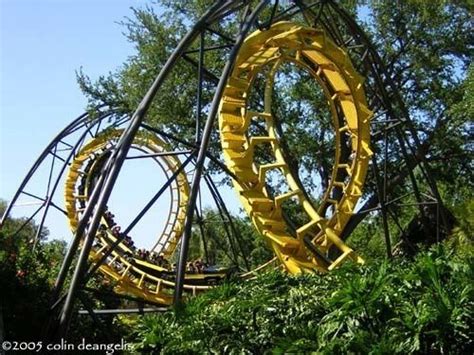 Image result for Python Busch Gardens