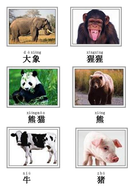 卡通动物和名称图片平面广告素材免费下载(图片编号:8179650)-六图网