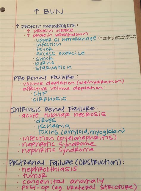 Elevated BUN: Important Differential Diagnosis