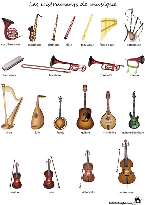 Image result for Different Types of Instruments