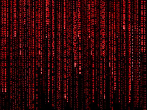 Image result for Matrix Code Wallpaper