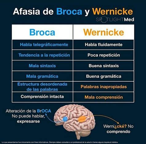 Chuletas Médicas on Twitter | Neurología, Anatomia y fisiologia humana ...