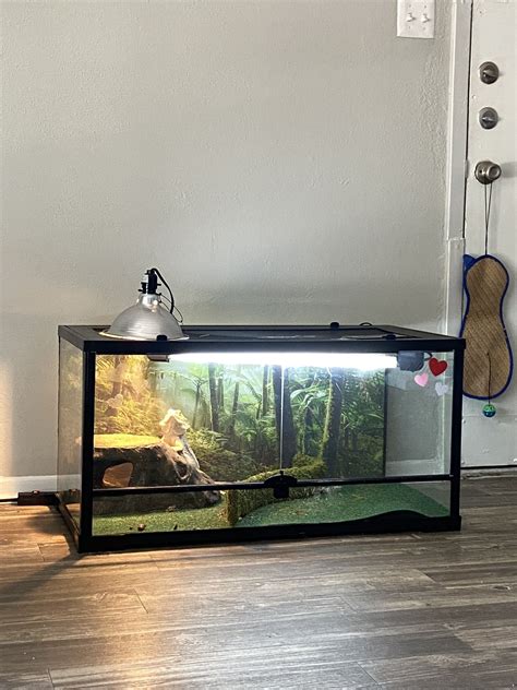 Bearded Dragon Enclosure for Sale in San Antonio, TX - OfferUp
