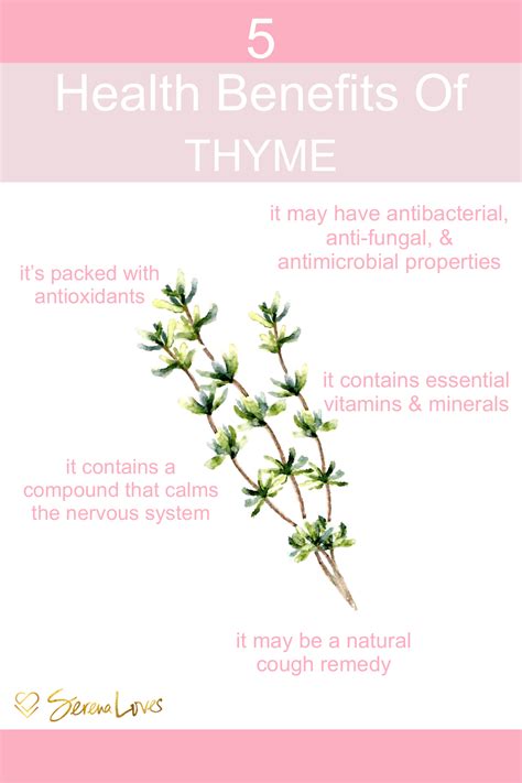 Benefits Of Thyme Tea