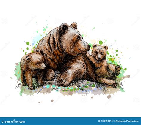 Mama Bear And Cubs Drawing