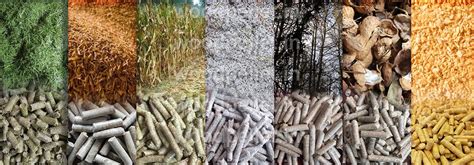 Download the Sample Project Report for Biomass & Wood Pellet Plants ...