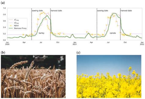 The Biomass Proxy: Unlocking Global Agricultural Monitoring through ...