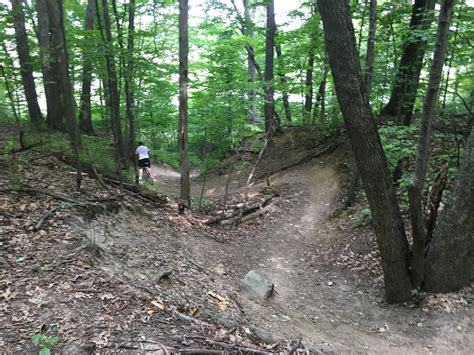 THE BEST Water & Amusement Parks in Waterford - Tripadvisor