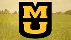 Unlock Your Future with Mizzou Scholarships: A Comprehensive Guide