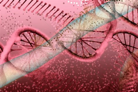 基因图片 的图像结果