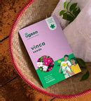 Vinca Seeds – Ugaoo