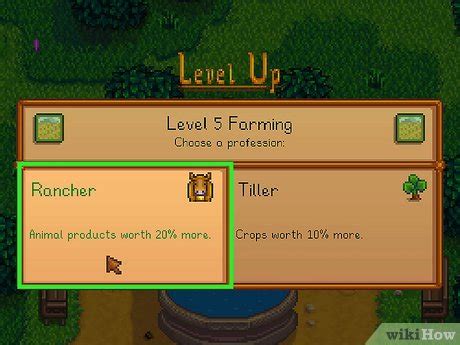 Rancher or Tiller in Stardew Valley: What to Choose
