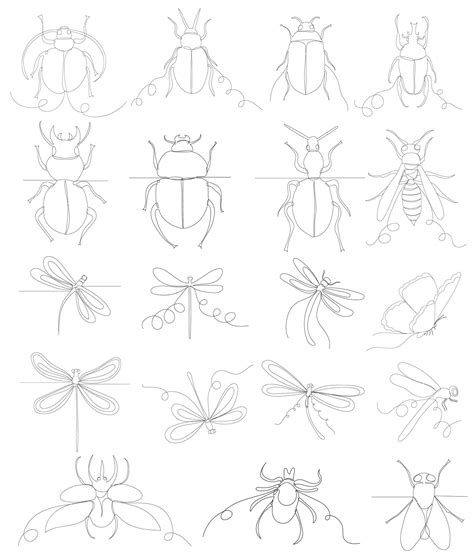 Step by Step Drawing Insects 的图像结果