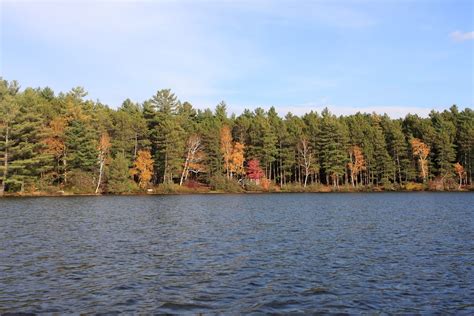 The Campsites: Fish Creek Pond Campground, New York State Department of ...
