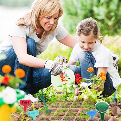 360 Cell Peat Pots for Seedling Seed Starter Tray Kit, 30 Packs ...