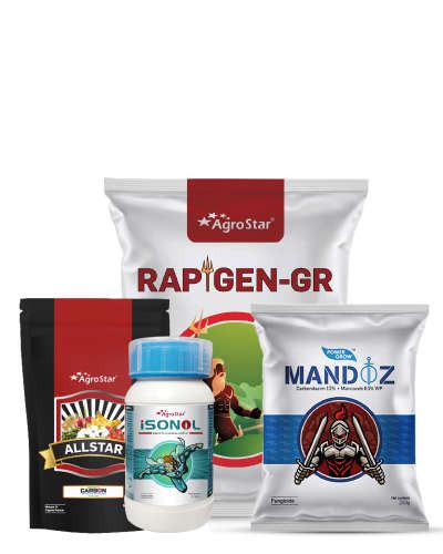 AgroStar AgroStar Rapigen GR (Chlorantraniliprole 0.4% GR) 1kg - Agrostar
