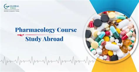 Pharmacology Course Abroad: Universities, Eligibility, Future Scope ...