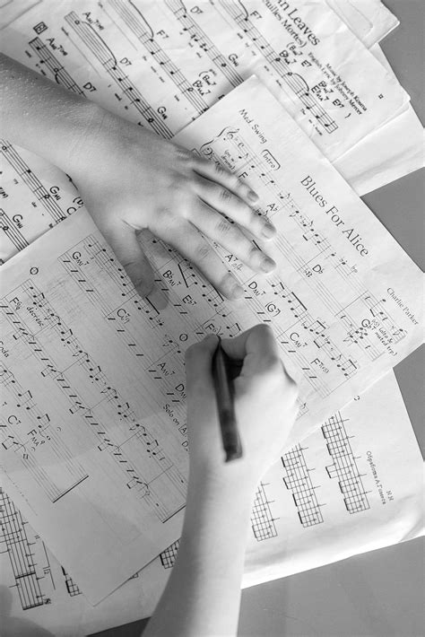 What is Bar in Music? The definition for Bar in Music