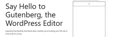 5 Best WordPress Content Editors To Create & Edit Your Website Content