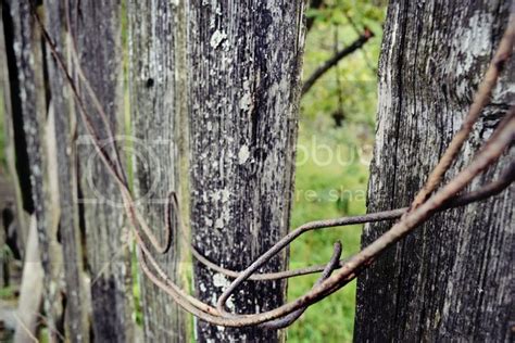 Image result for Rusticaland Client