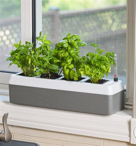 Windowsill Herb Planters Windowsill Herb Planter – Green Thumbz