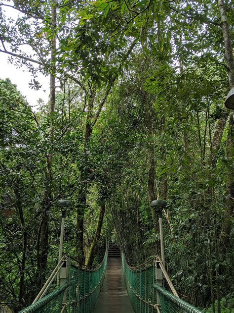 VYTHIRI RESORT (Kunnathidavaka) - Resort Reviews, Photos, Rate ...