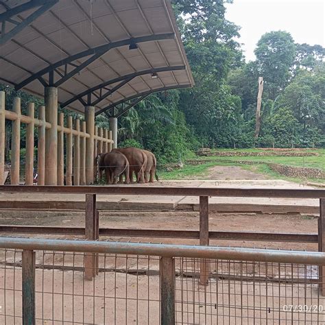 ZOO MELAKA (2026) All You Need to Know BEFORE You Go (with Photos ...