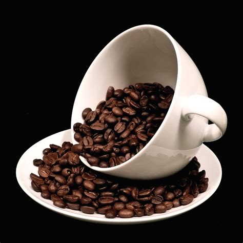 Java Crash Course 的图像结果